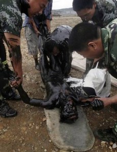 chinese oil spill victim