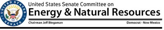 Senate Energy logo